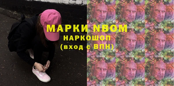 индика Волосово
