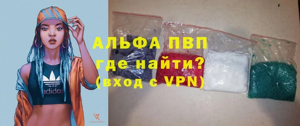 индика Волосово