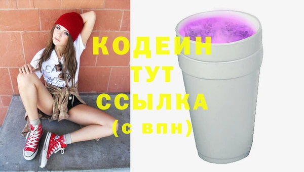 индика Волосово