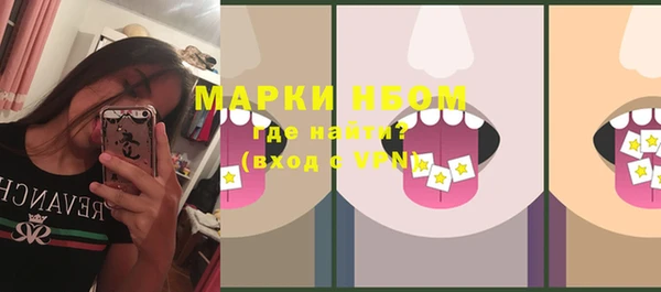 индика Волосово