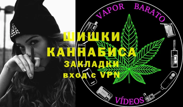 индика Волосово