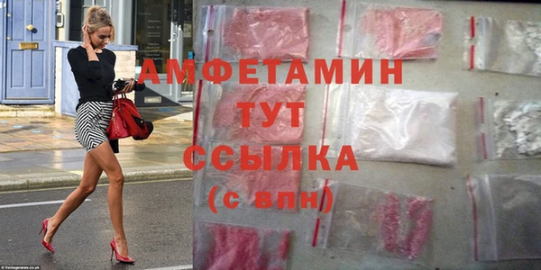 индика Волосово