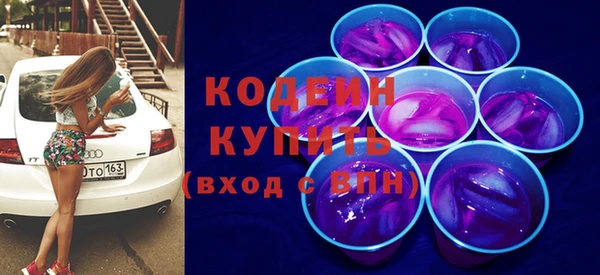 индика Волосово