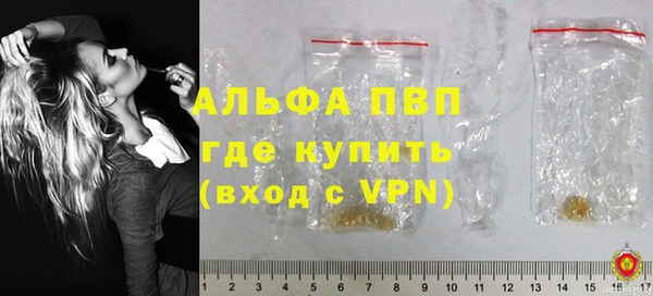 индика Волосово