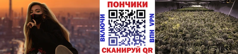 МАРИХУАНА план  купить закладку  Лодейное Поле 